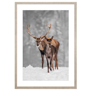 Obraz w ramie Deers Walk 53×73 cm 230562