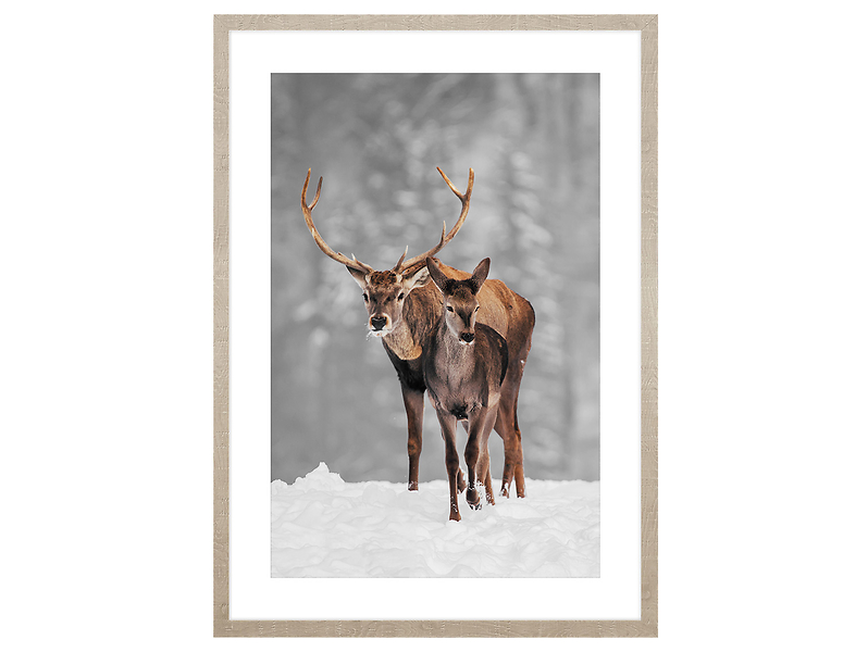 Obraz w ramie Deers Walk 53x73 cm 230562