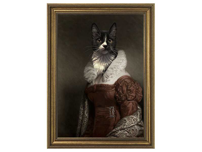 Obraz w ramie Distinctive Cat 58x78 cm 230498