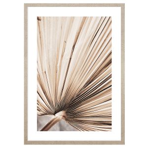 Obraz w ramie Dried Palm Leaves No.3 53×73 cm 230366 Obraz w ramie Dried Palm Leaves No.3 53×73 cm 230366