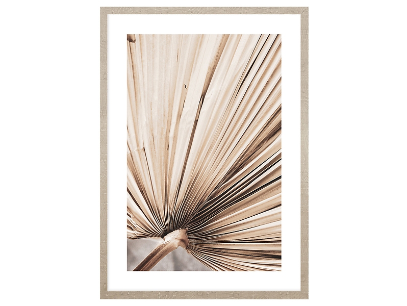 Obraz w ramie Dried Palm Leaves No.3 53x73 cm 230366