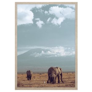 Obraz w ramie Elephant Family 53×73 cm 230572 Obraz w ramie Elephant Family 53×73 cm 230572