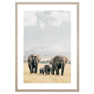 Obraz w ramie Elephant Travel 53×73 cm 230570 Obraz w ramie Elephant Travel 53×73 cm 230570
