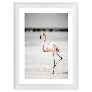 Obraz w ramie Flaming In The Water 58×78 cm 230582 Obraz w ramie Flaming In The Water 58×78 cm 230582