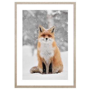 Obraz w ramie Fox In The Winter Scenery 53×73 cm 230565 Obraz w ramie Fox In The Winter Scenery 53×73 cm 230565
