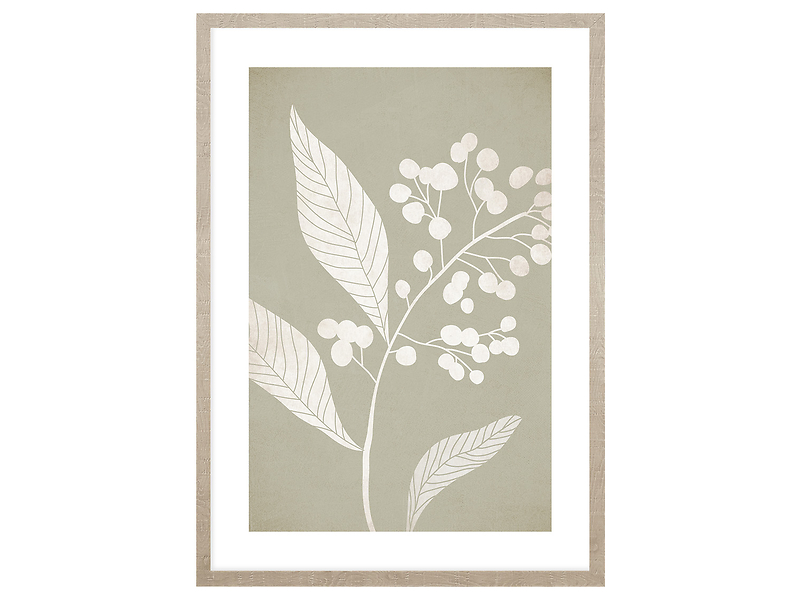 Obraz w ramie Fragrance of Nature 53x73 cm 230367