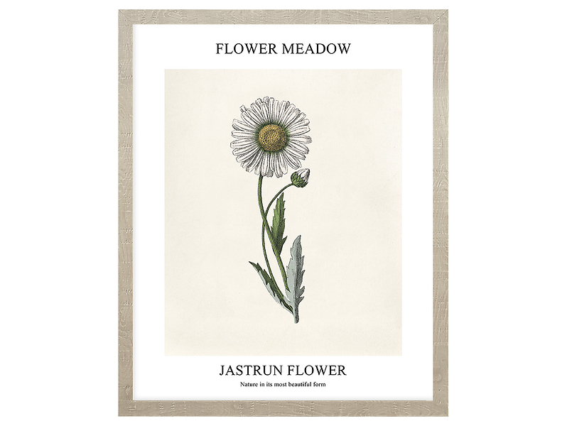 Obraz w ramie Jastrun Flower 43x53 cm 230384