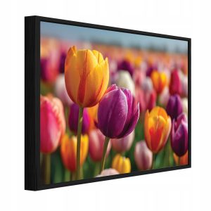 Obraz W Ramie Kwiaty Kolorowy Na Płótnie Do Sypialni Salonu 60×40 974183 Obraz W Ramie Kwiaty Kolorowy Na Płótnie Do Sypialni Salonu 60×40 974183