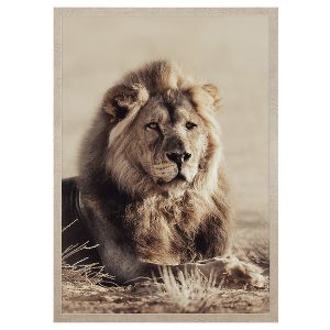 Obraz w ramie Lordly Lion 53×73 cm 230574 Obraz w ramie Lordly Lion 53×73 cm 230574