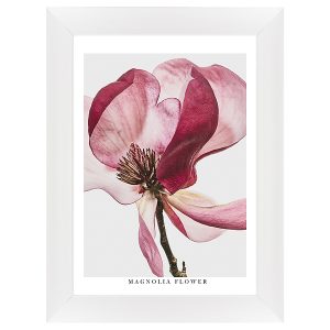 Obraz w ramie Magnolia Flower In The Wind 62×82 cm 230474 Obraz w ramie Magnolia Flower In The Wind 62×82 cm 230474