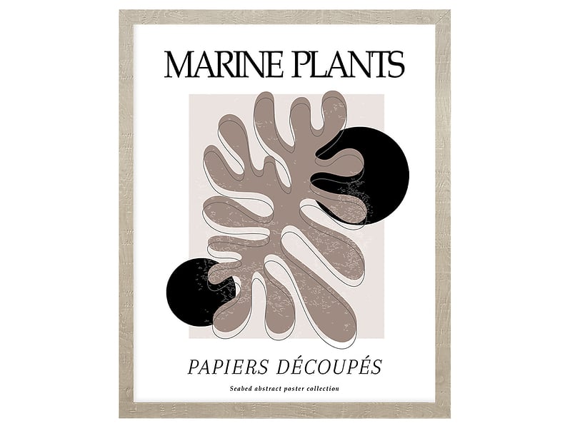 Obraz w ramie Marine Pastel Plants 43x53 cm 230362