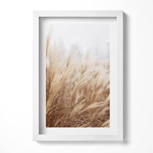 Obraz w ramie MDF „Boho trawy zboża” Biała rama, 20×30 cm 414332 Obraz w ramie MDF „Boho trawy zboża” Biała rama, 20×30 cm 414332