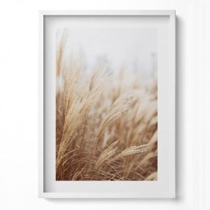 Obraz w ramie MDF „Boho trawy zboża” Biała rama, 50×70 cm 414131 Obraz w ramie MDF „Boho trawy zboża” Biała rama, 50×70 cm 414131