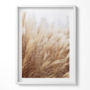 Obraz w ramie MDF „Boho trawy zboża” Biała rama, 60×80 cm 414187 Obraz w ramie MDF „Boho trawy zboża” Biała rama, 60×80 cm 414187