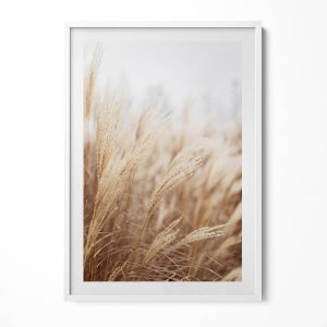 Obraz w ramie MDF „Boho trawy zboża” Biała rama, 70×100 cm 414080 Obraz w ramie MDF „Boho trawy zboża” Biała rama, 70×100 cm 414080