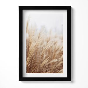 Obraz w ramie MDF „Boho trawy zboża” Czarna rama, 20×30 cm 414227 Obraz w ramie MDF „Boho trawy zboża” Czarna rama, 20×30 cm 414227