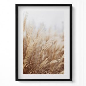 Obraz w ramie MDF „Boho trawy zboża” Czarna rama, 50×70 cm 414337 Obraz w ramie MDF „Boho trawy zboża” Czarna rama, 50×70 cm 414337