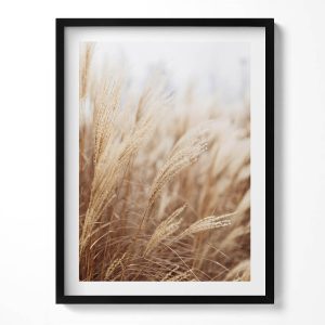 Obraz w ramie MDF „Boho trawy zboża” Czarna rama, 60×80 cm 413983 Obraz w ramie MDF „Boho trawy zboża” Czarna rama, 60×80 cm 413983