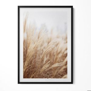 Obraz w ramie MDF „Boho trawy zboża” Czarna rama, 70×100 cm 414133 Obraz w ramie MDF „Boho trawy zboża” Czarna rama, 70×100 cm 414133