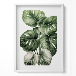 Obraz w ramie MDF „Liście monstery” Biała rama, 50×70 cm 414028 Obraz w ramie MDF „Liście monstery” Biała rama, 50×70 cm 414028