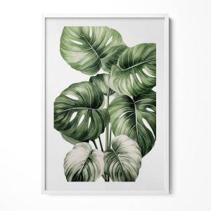 Obraz w ramie MDF „Liście monstery” Biała rama, 70×100 cm 414331 Obraz w ramie MDF „Liście monstery” Biała rama, 70×100 cm 414331