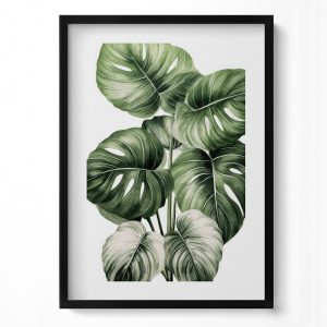 Obraz w ramie MDF „Liście monstery” Czarna rama, 50×70 cm 414190 Obraz w ramie MDF „Liście monstery” Czarna rama, 50×70 cm 414190