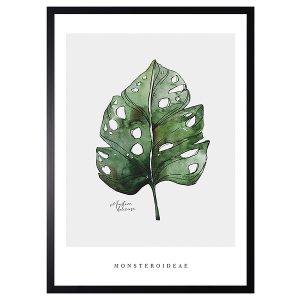 Obraz w ramie Monstera Leaf Watercolor Art. 53×73 cm 230406