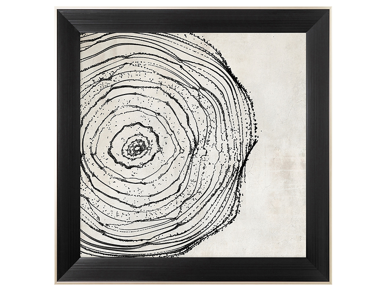 Obraz w ramie Narrow Wood Line 85x85 cm 230348