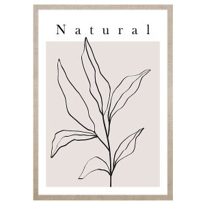 Obraz w ramie Natural Art. Line Plant No.1 53×73 cm 230456