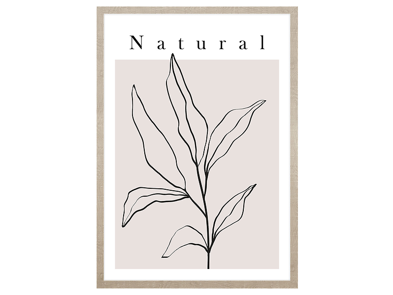 Obraz w ramie Natural Art. Line Plant No.1 53x73 cm 230456