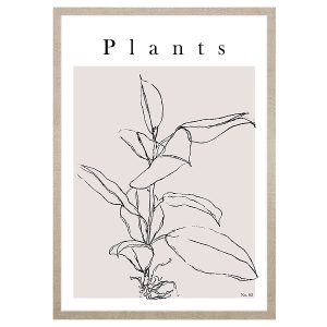 Obraz w ramie Natural Art. Line Plant No.2 53×73 cm 230457