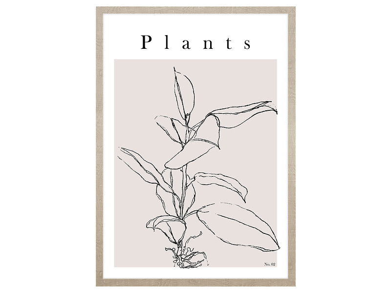Obraz w ramie Natural Art. Line Plant No.2 53x73 cm 230457