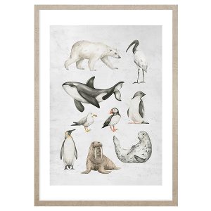 Obraz w ramie Ocean Animals In Pastels 53×73 cm 230428