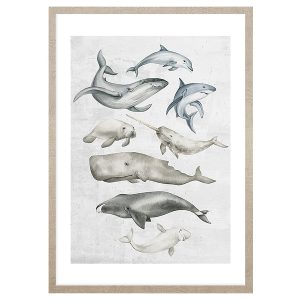 Obraz w ramie Ocean Fish In Pastels 53×73 cm 230427