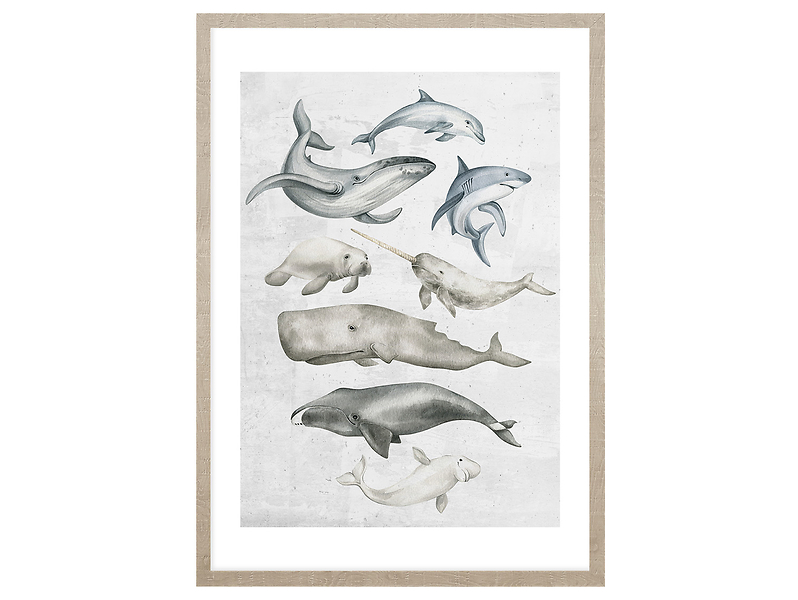 Obraz w ramie Ocean Fish In Pastels 53x73 cm 230427