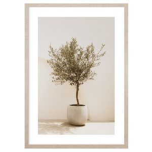 Obraz w ramie Olive Tree 53×73 cm 685018