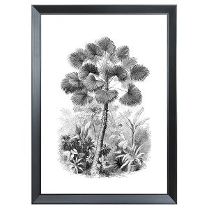 Obraz w ramie Palm Tree 56×76 cm 230395