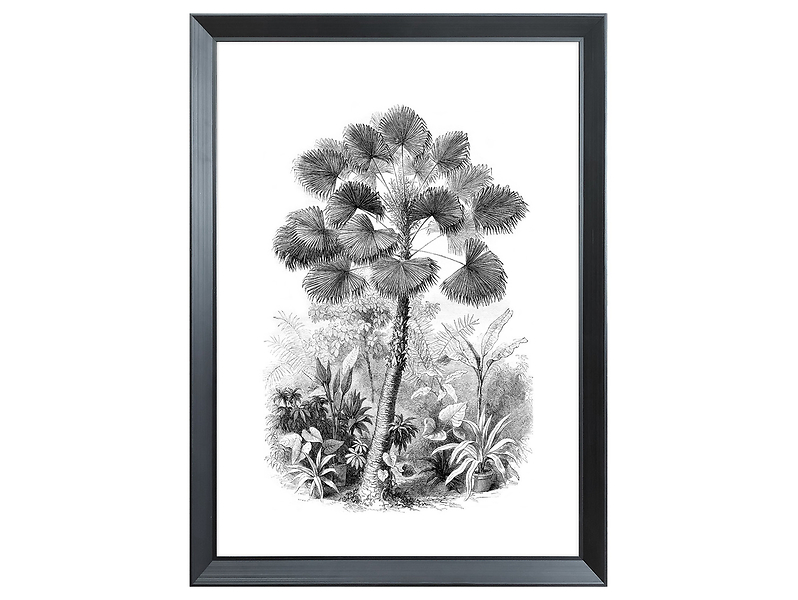 Obraz w ramie Palm Tree 56x76 cm 230395