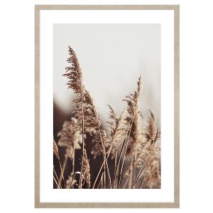 Obraz w ramie Pampas Grass Of The Wind No. 1 53×73 cm 230373