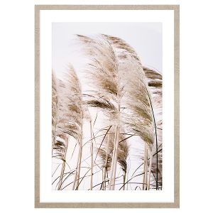 Obraz w ramie Pampas Grass Of The Wind No. 2 53×73 cm 230374