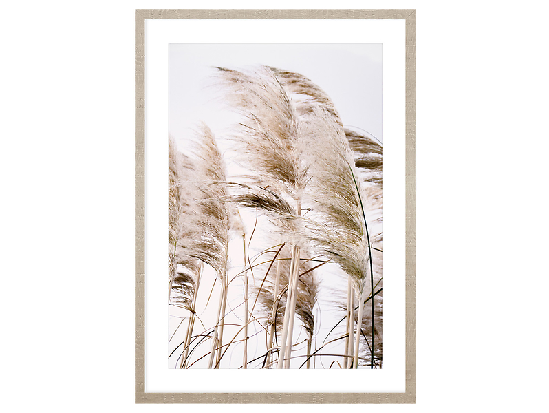 Obraz w ramie Pampas Grass Of The Wind No. 2 53x73 cm 230374