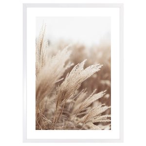Obraz w ramie Pampas Grass Of The Wind No. 3 53×73 cm 230375