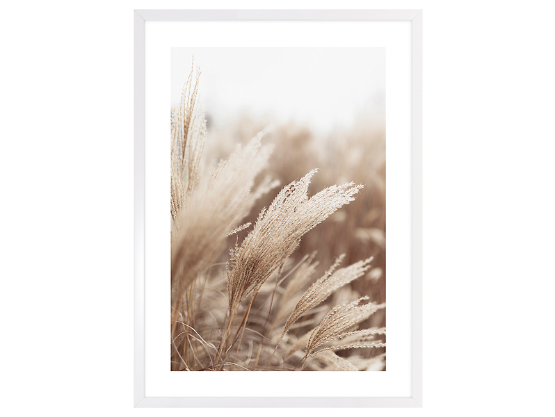 Obraz w ramie Pampas Grass Of The Wind No. 3 53x73 cm 230375