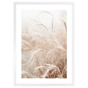 Obraz w ramie Pampas Grass Of The Wind No. 4 53×73 cm 230376
