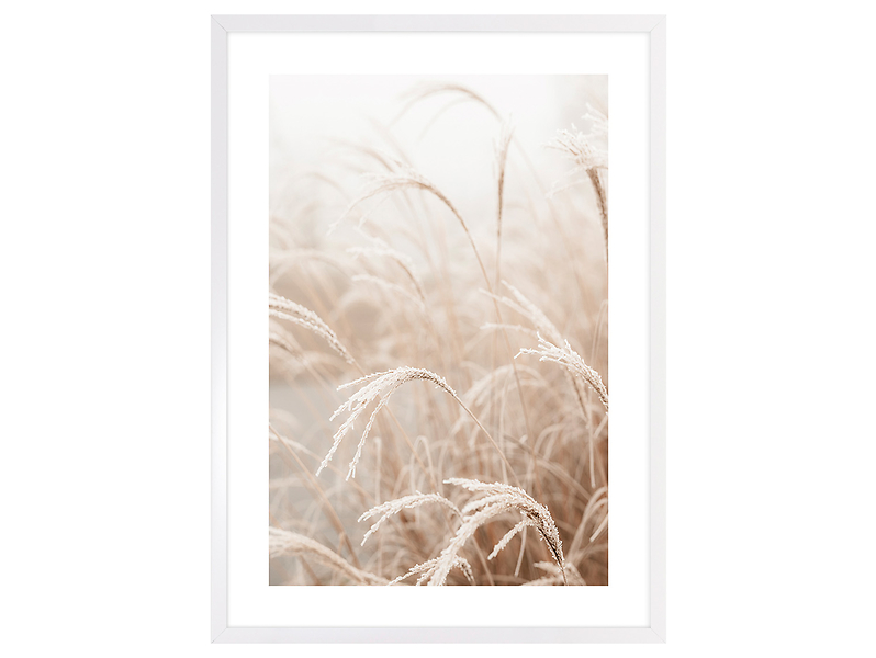 Obraz w ramie Pampas Grass Of The Wind No. 4 53x73 cm 230376