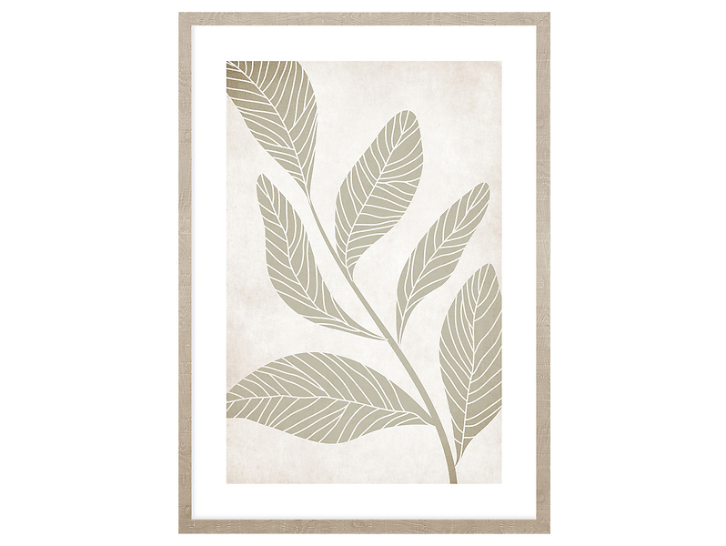 Obraz w ramie Pastel Green Plant 53x73 cm 230368