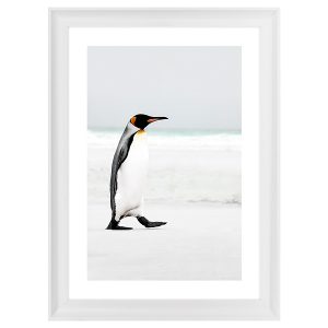 Obraz w ramie Penguin On The Beach 58×78 cm 230581