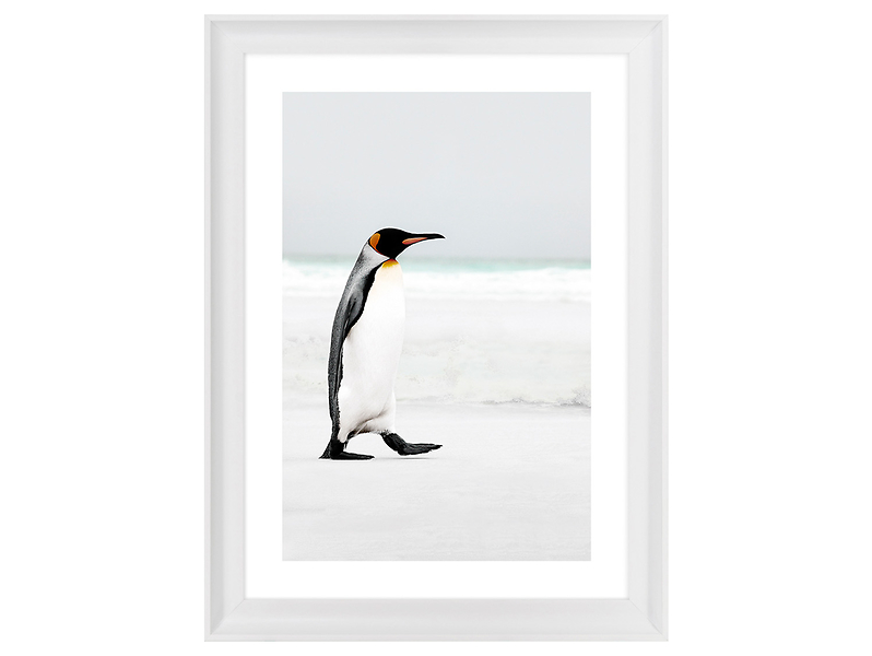 Obraz w ramie Penguin On The Beach 58x78 cm 230581