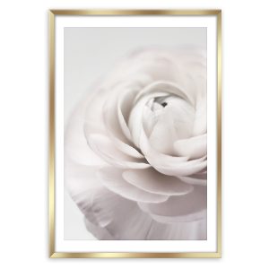 Obraz w ramie Peonia 50×70 cm 374349