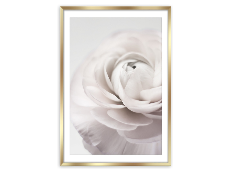 Obraz w ramie Peonia 50x70 cm 374349